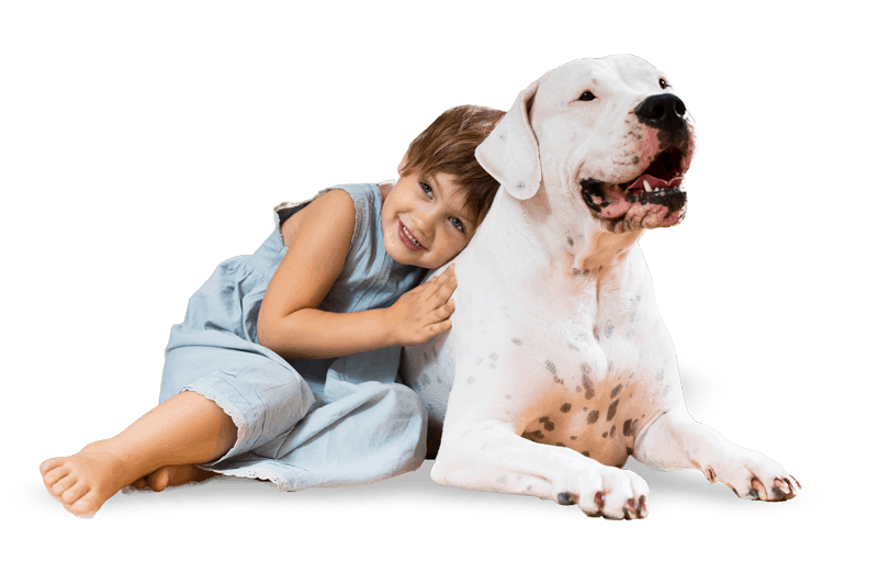 Pet Services Services